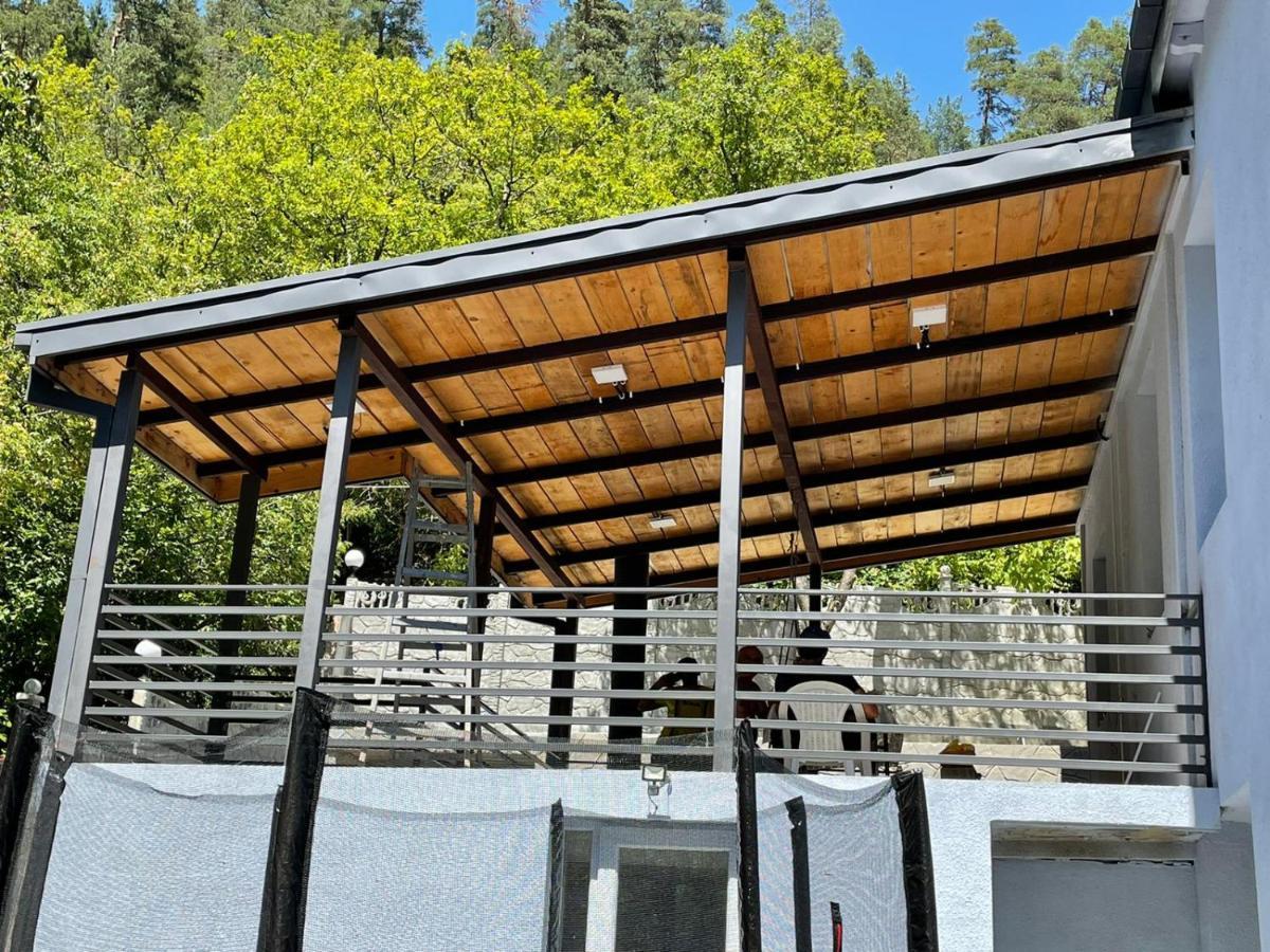 Serenity Likani Villa Hotel Borjomi Luaran gambar