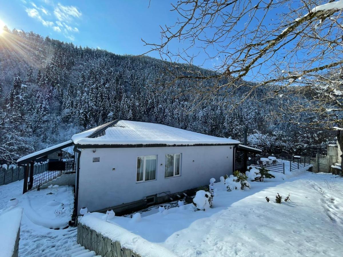 Serenity Likani Villa Hotel Borjomi Luaran gambar