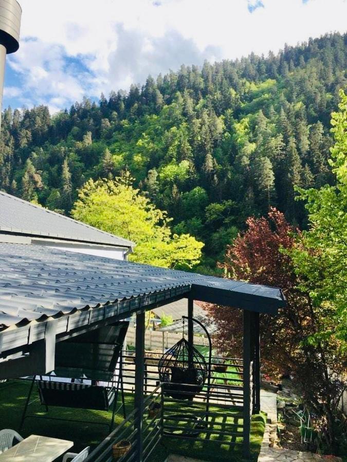 Serenity Likani Villa Hotel Borjomi Luaran gambar