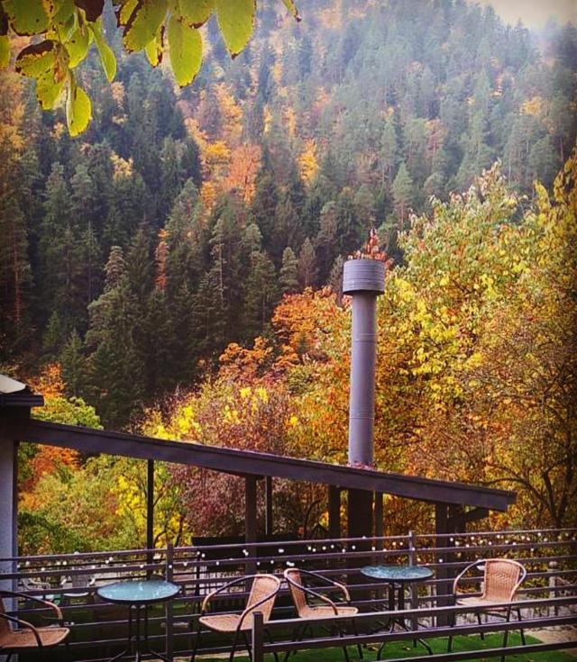 Serenity Likani Villa Hotel Borjomi Luaran gambar